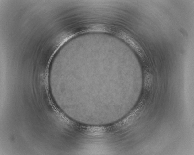 X0000115540836200912041009