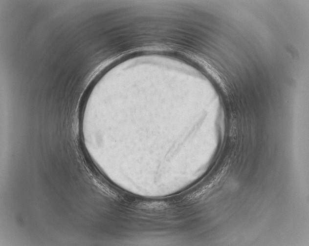 X0000115540837200912041009