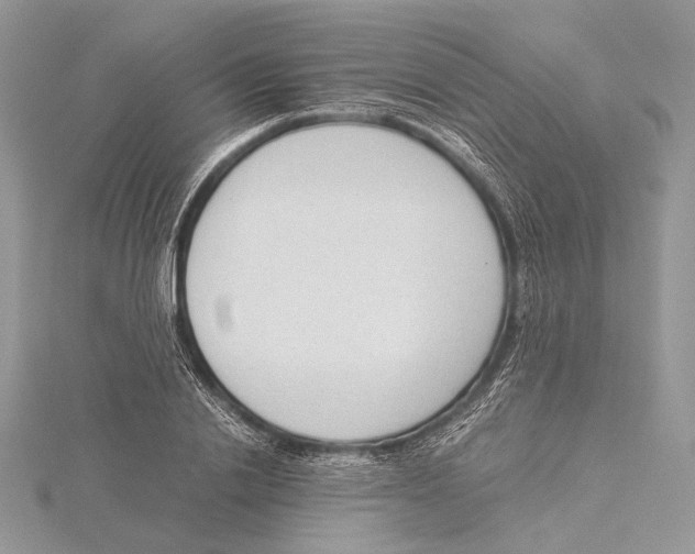 X0000115540838200912041009