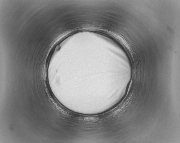 X0000115540839200912041009