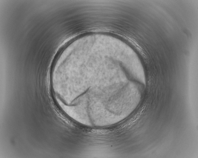 X0000115540840200912041009