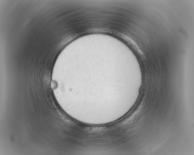 X0000115540841200912041009