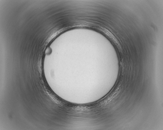 X0000115540842200912041009