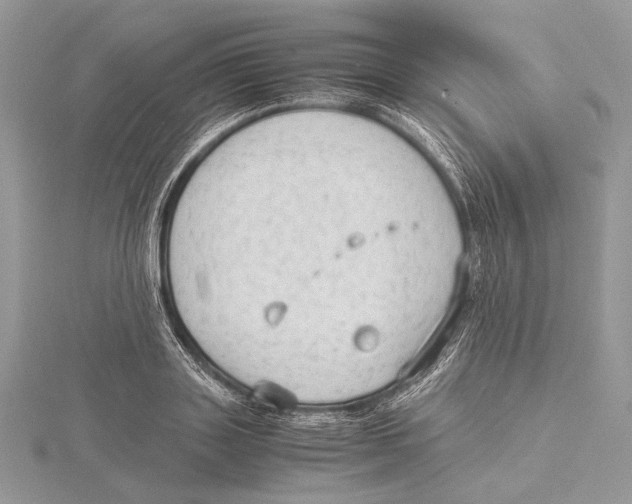 X0000115540843200912041009