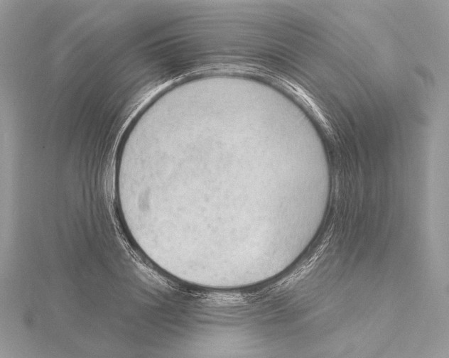 X0000115540844200912041009