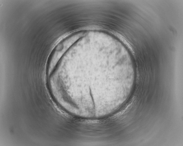 X0000115540845200912041009