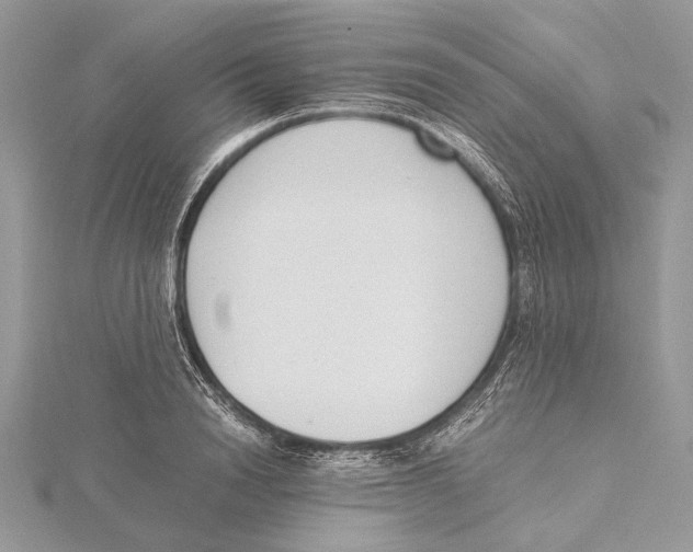 X0000115540846200912041009