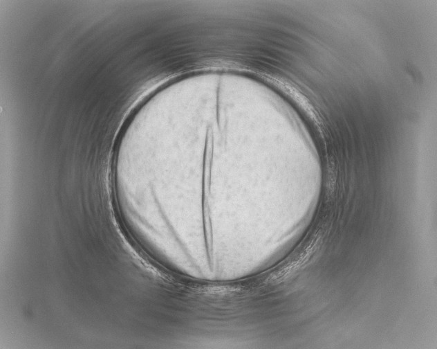 X0000115540847200912041009