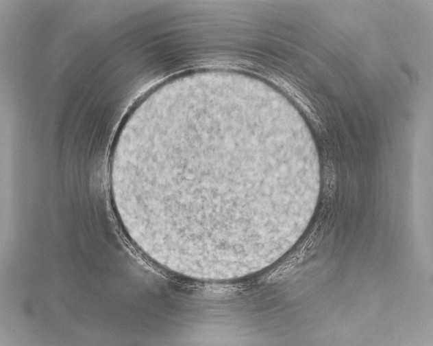 X0000115540848200912041009