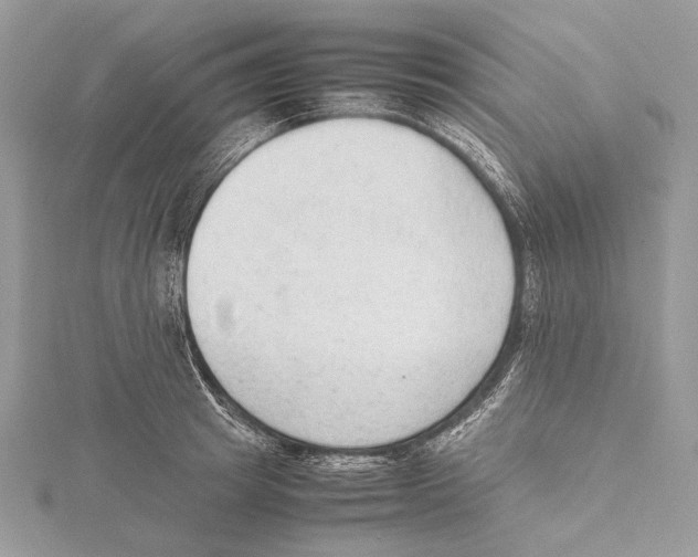 X0000115540849200912041009