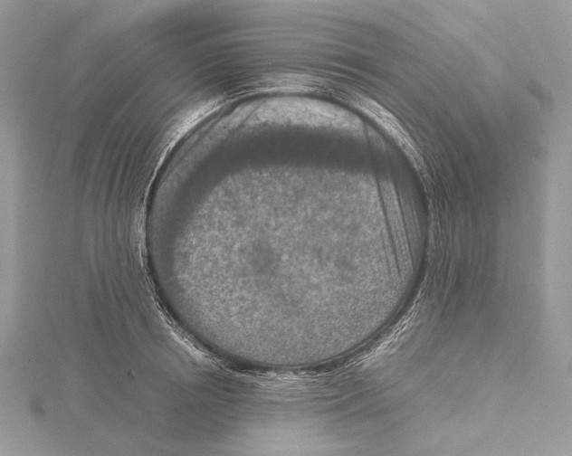 X0000115540850200912041009