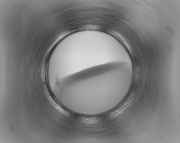 X0000115540851200912041009