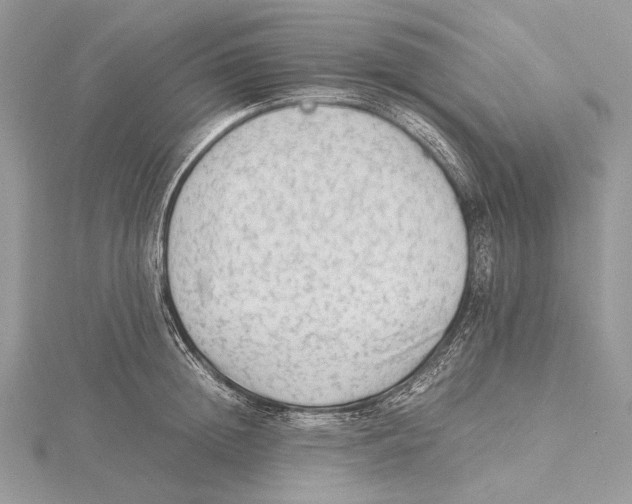 X0000115540852200912041009