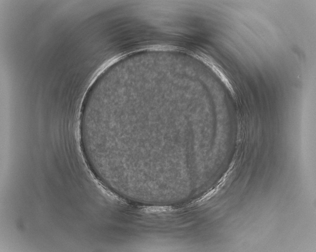 X0000115540853200912041009