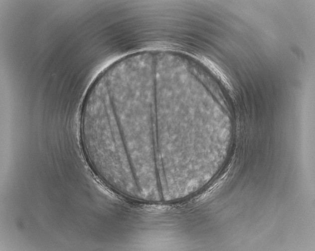 X0000115540854200912041009