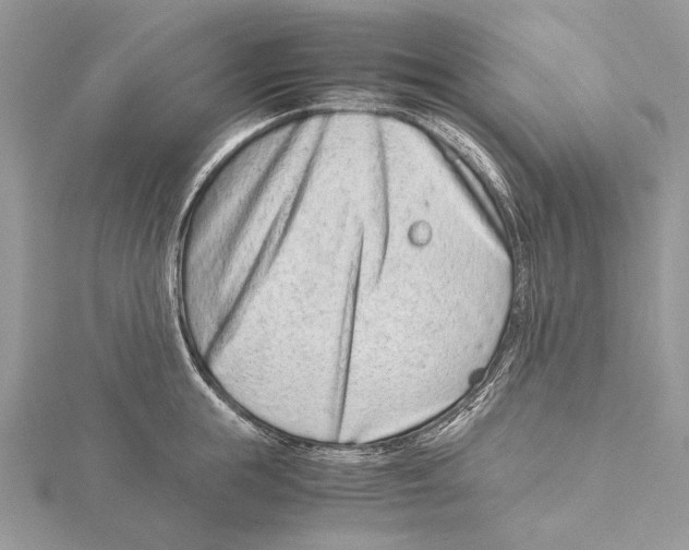 X0000115540855200912041009