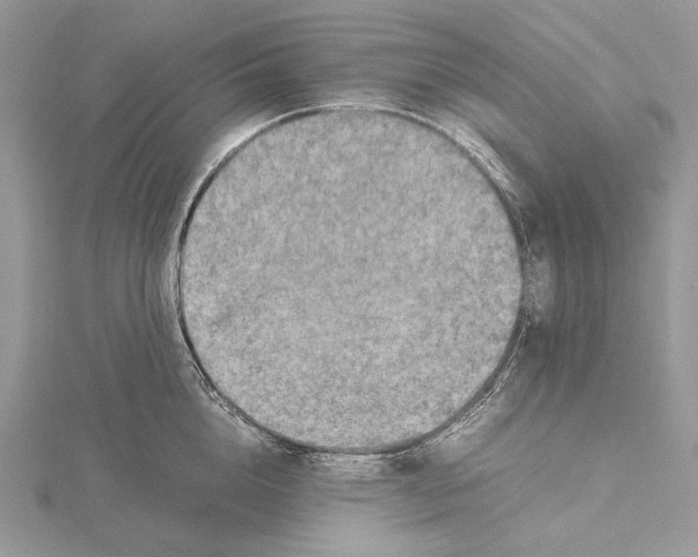 X0000115540856200912041009