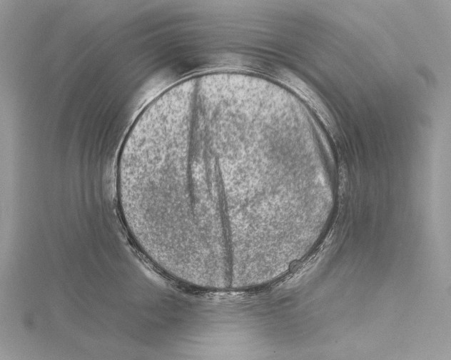 X0000115540858200912041009