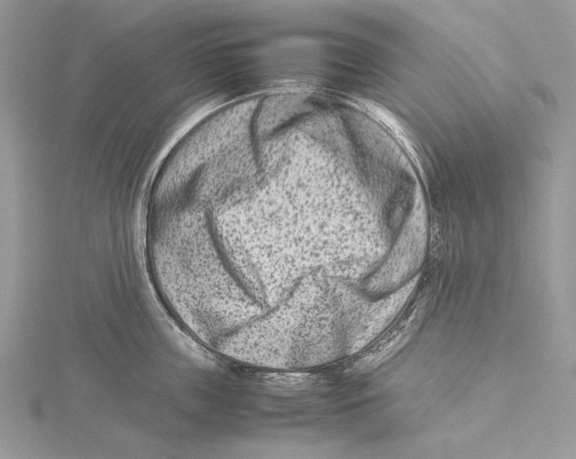 X0000115540859200912041009