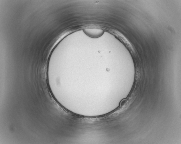 X0000115540860200912041009