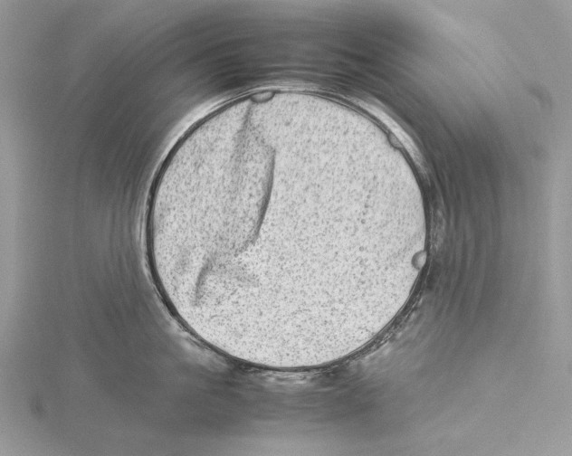 X0000115540861200912041009