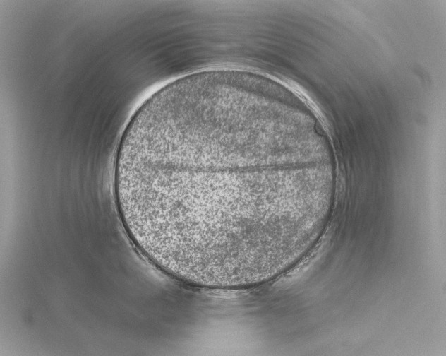 X0000115540862200912041009