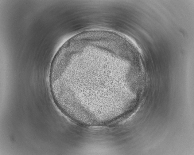 X0000115540863200912041009