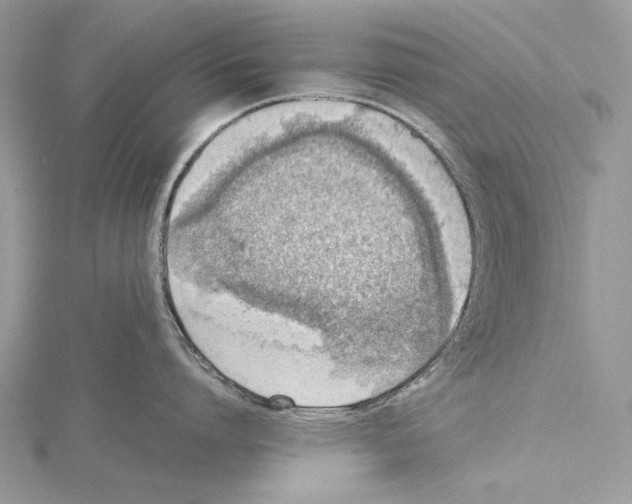 X0000115540864200912041009