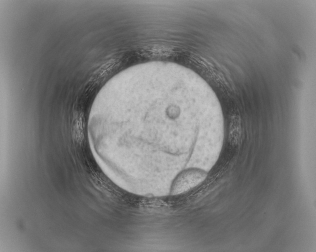 X0000115540866200912041009