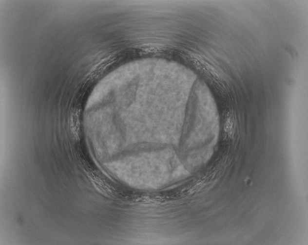 X0000115540868200912041009