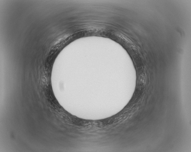 X0000115540869200912041009