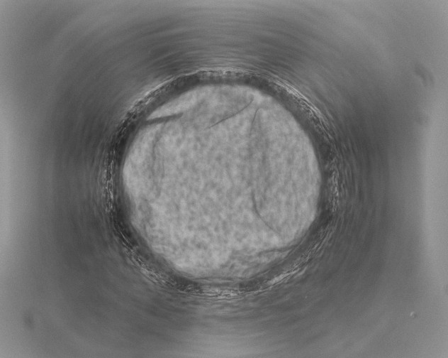 X0000115540870200912041009