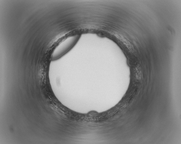 X0000115540872200912041008