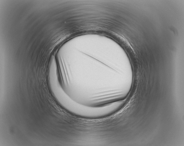 X0000115540873200912041008