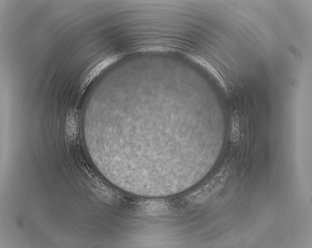 X0000115540874200912041008