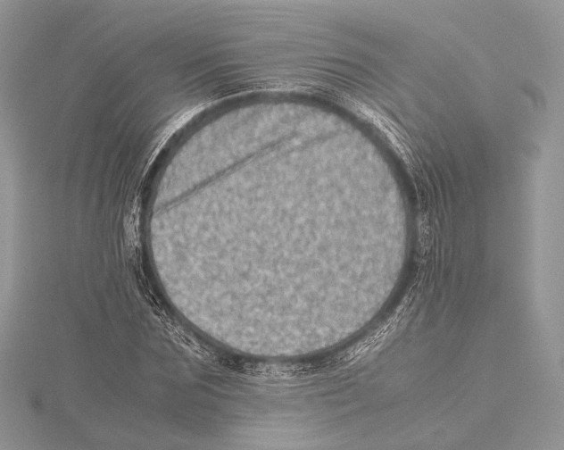 X0000115540875200912041008