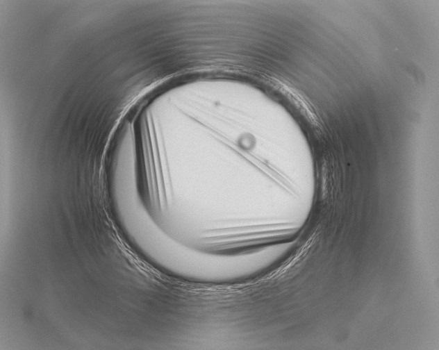 X0000115540876200912041008