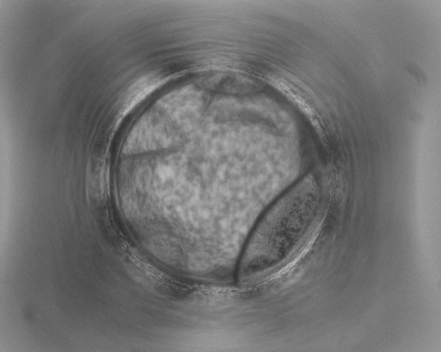 X0000115540877200912041008