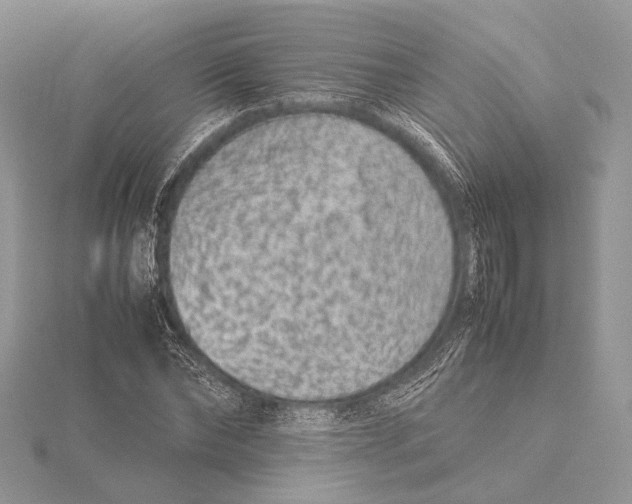 X0000115540878200912041008