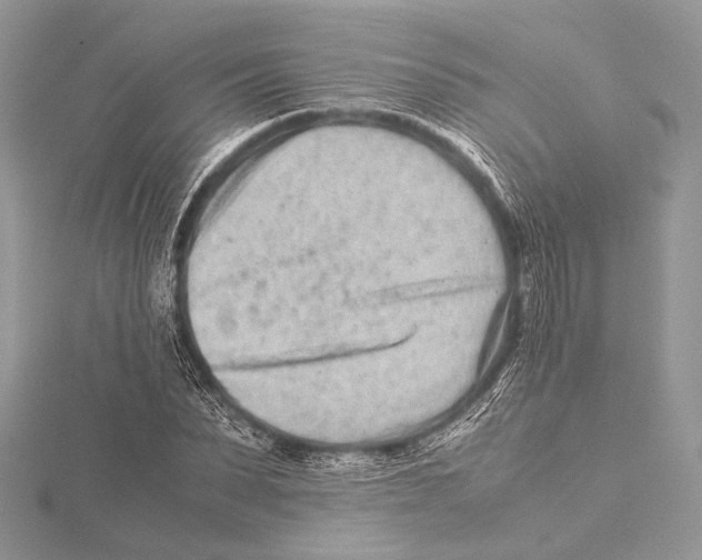 X0000115540879200912041008