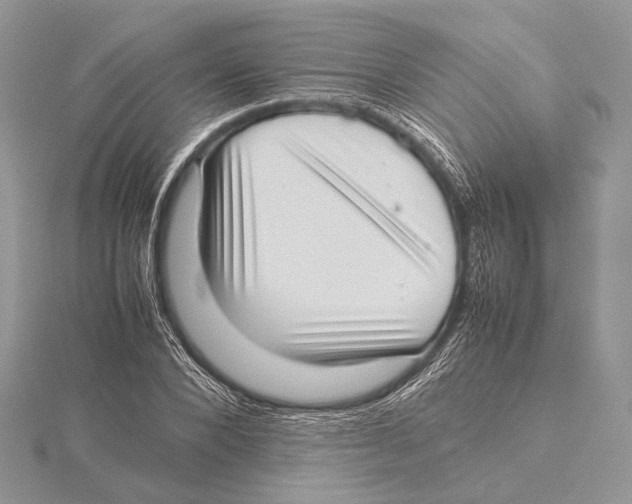 X0000115540880200912041008