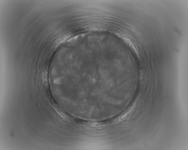 X0000115540881200912041008