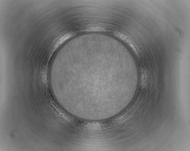 X0000115540882200912041008