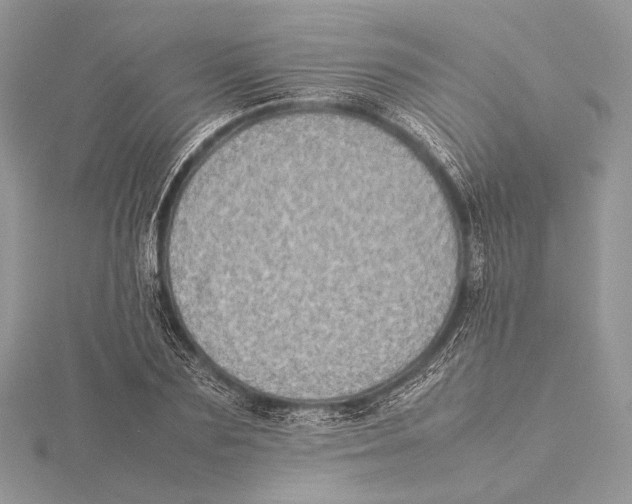 X0000115540883200912041008