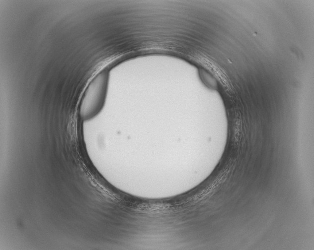 X0000115540884200912041008