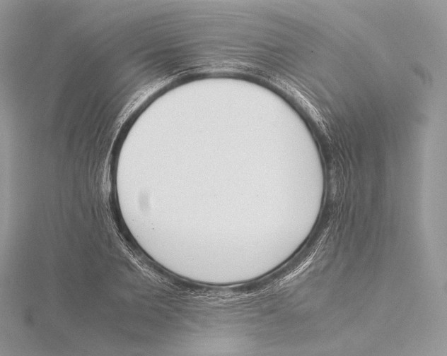 X0000115540885200912041008