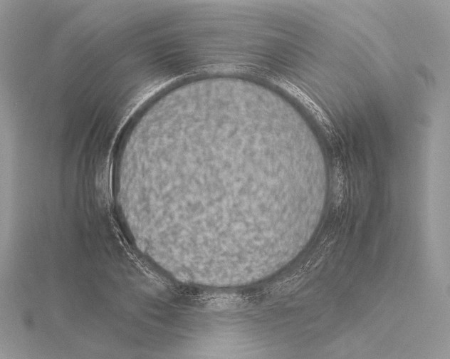 X0000115540886200912041008