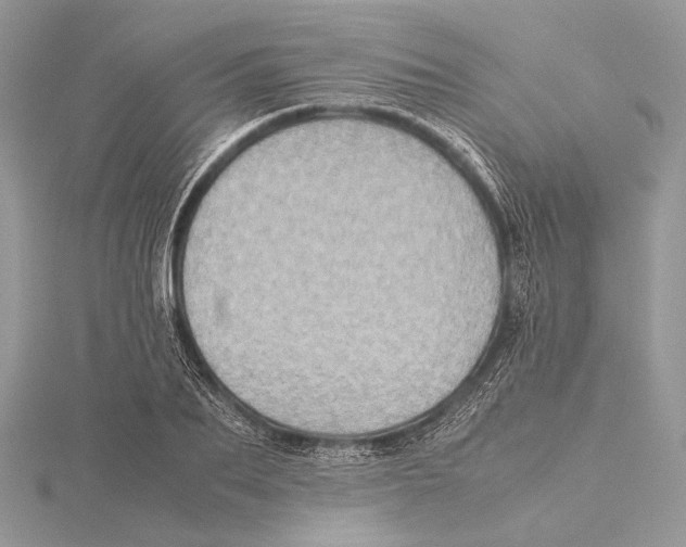 X0000115540887200912041008