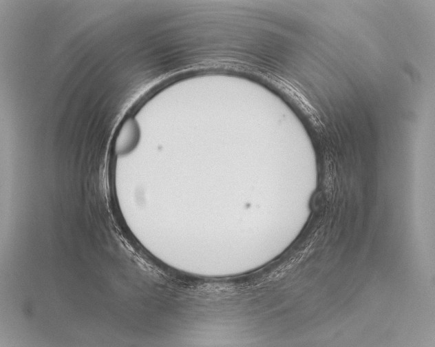 X0000115540888200912041008