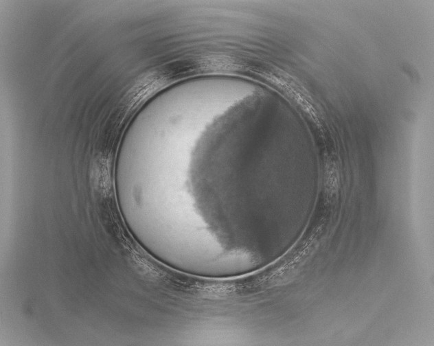 X0000115540889200912041008